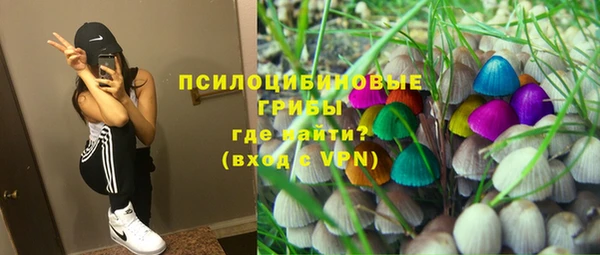 крисы Алексин