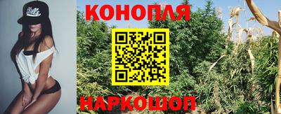 сатива Камышлов