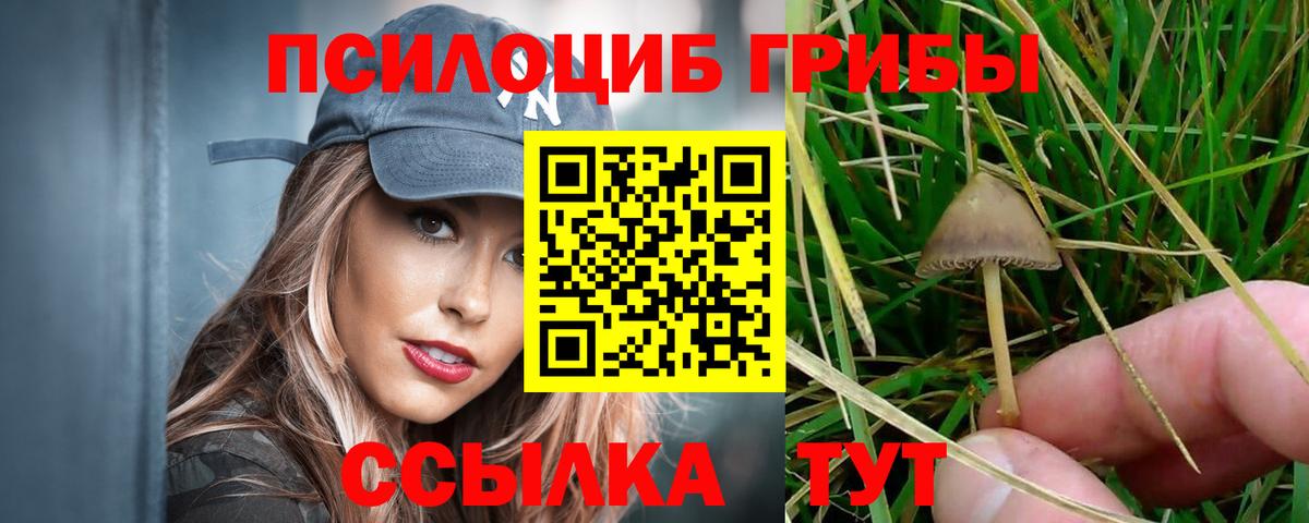 Галлюциногенные грибы Cubensis Лабытнанги