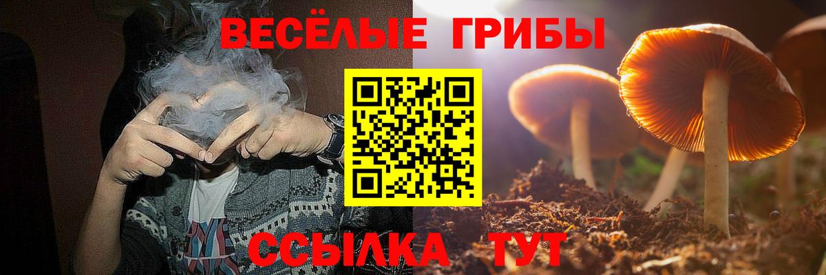 Галлюциногенные грибы мухоморы  Вход с VPN  Лабытнанги 